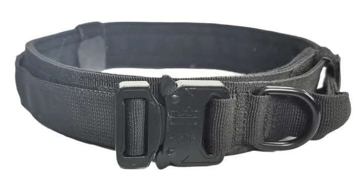 Tactical Dog Training Collar for Pups with K9 Aspirations