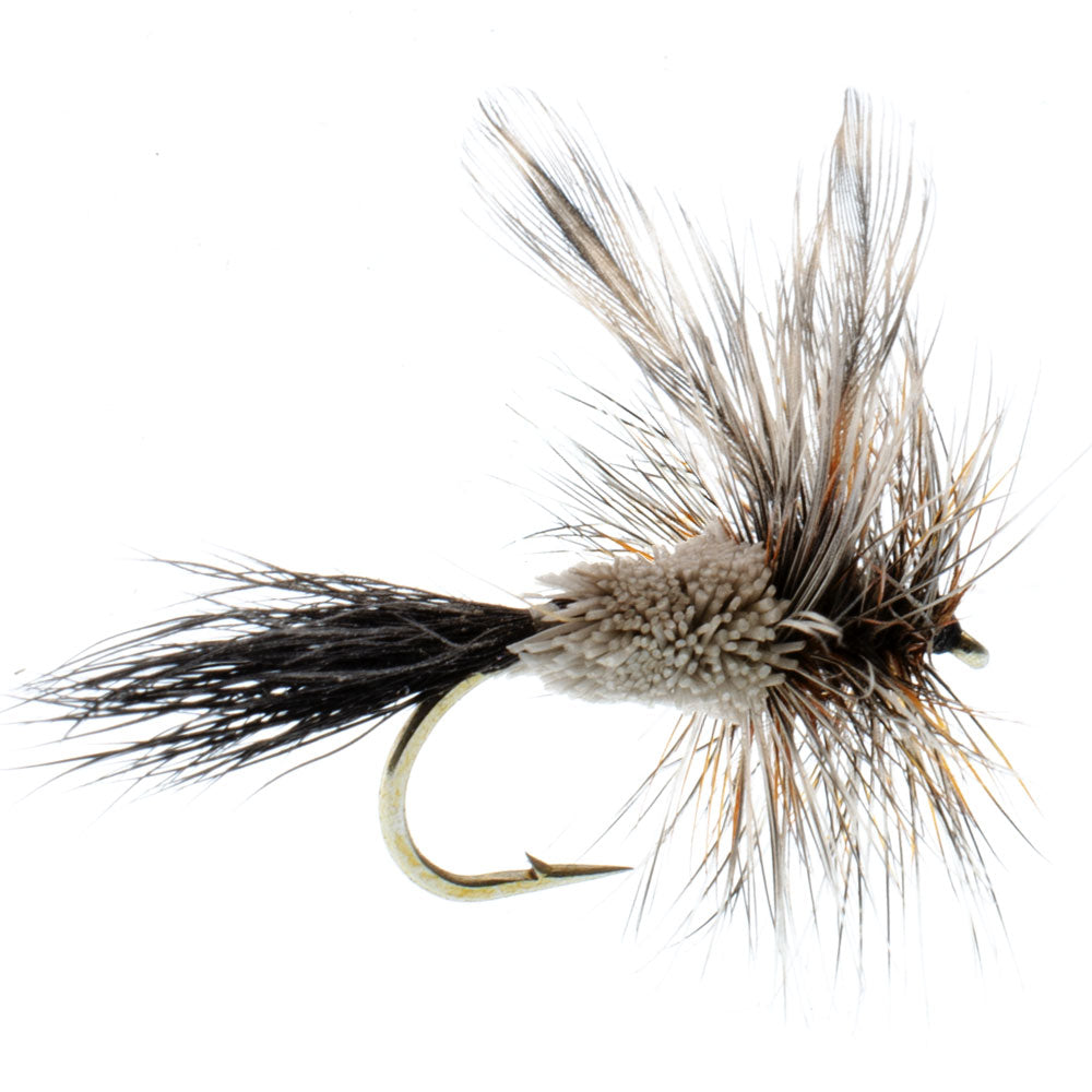 Adam's Flies