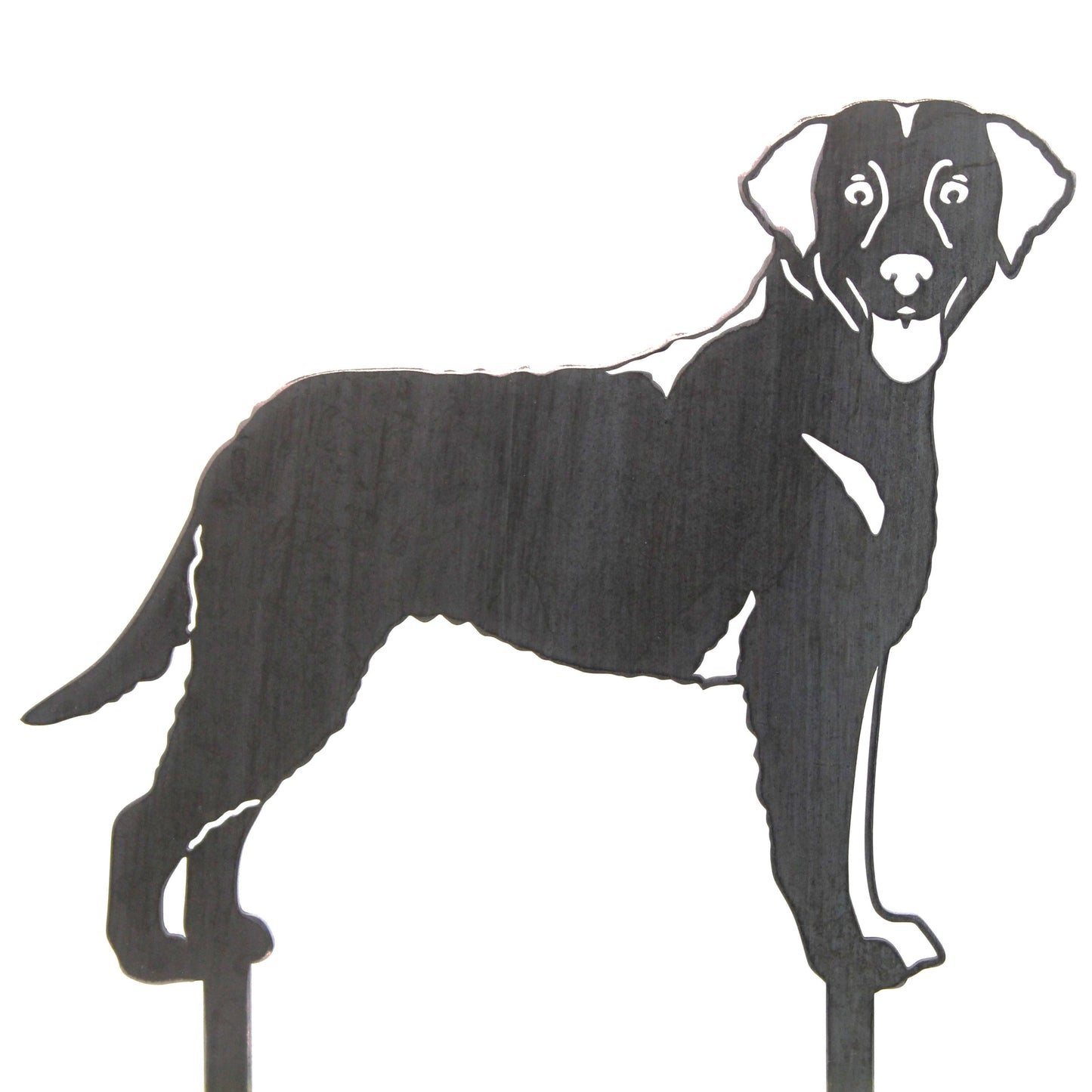Chesapeake Bay Retriever Metal Art – Handmade Steel Dog Silhouette