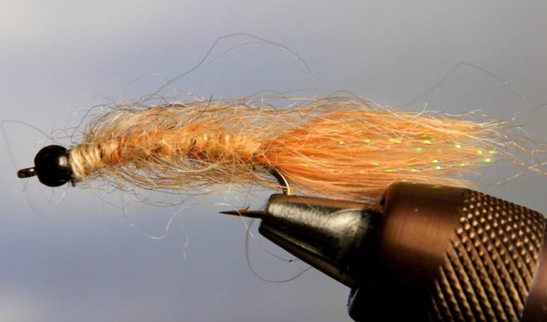 BH Vanilla Leech