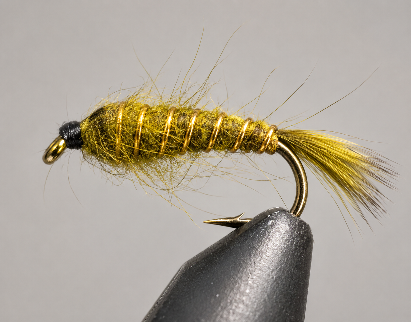 Hare's Ear - Olive