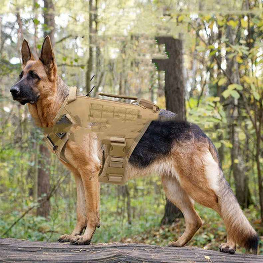 Tactical Dog Harness for Enhanced Control and Comfort