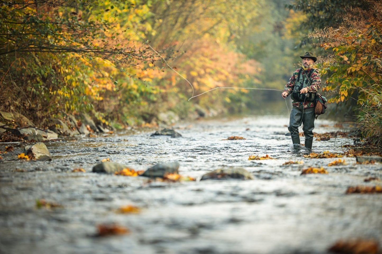 Olive Iris Caddis Emerger Caddis  Trout Dry Fly - 6 Flies Hook Size 16
