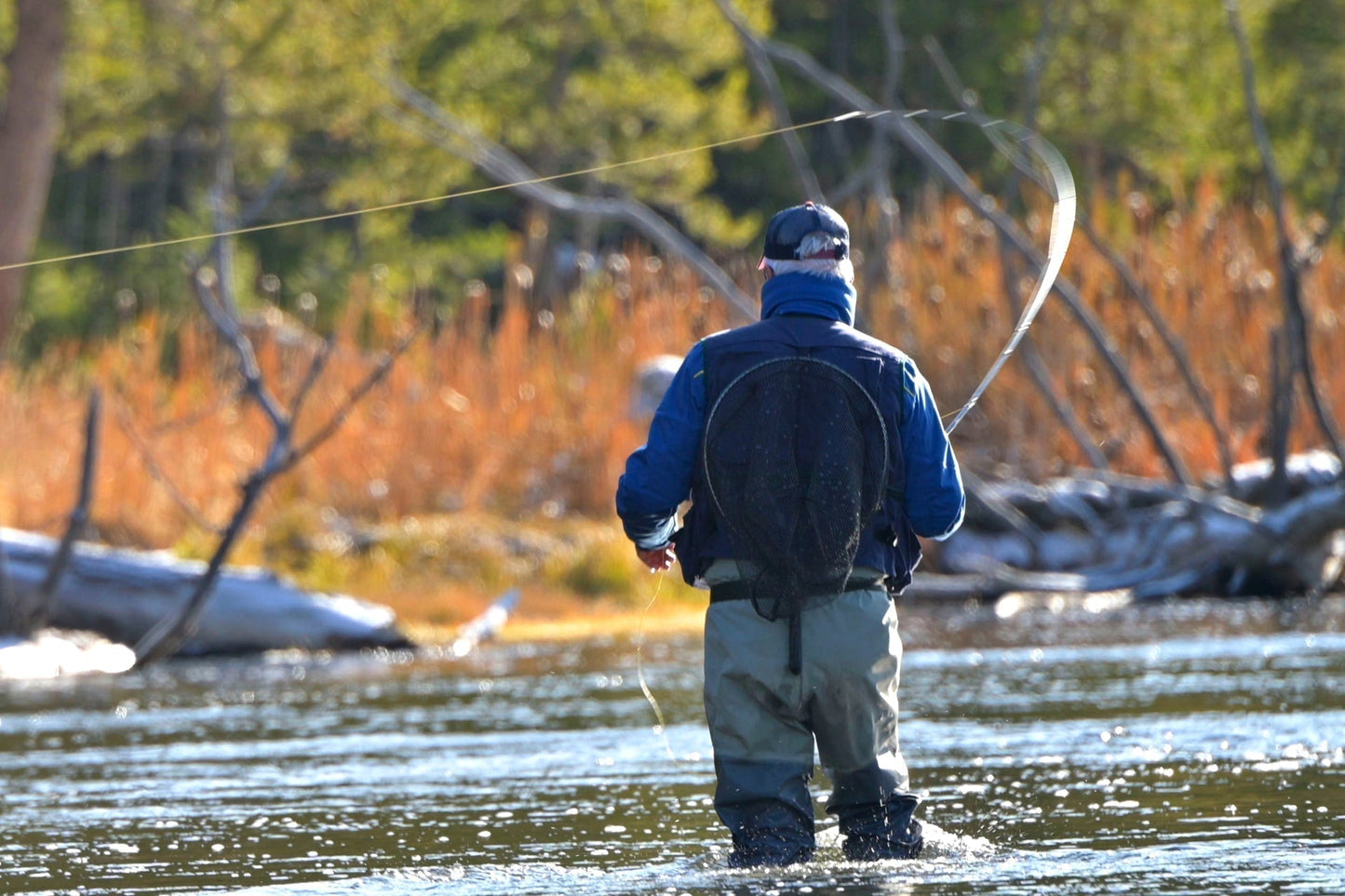 Black Fur Flying Ant Terrestrial Trout Dry Fly - 1 Dozen Flies Hook Size 12