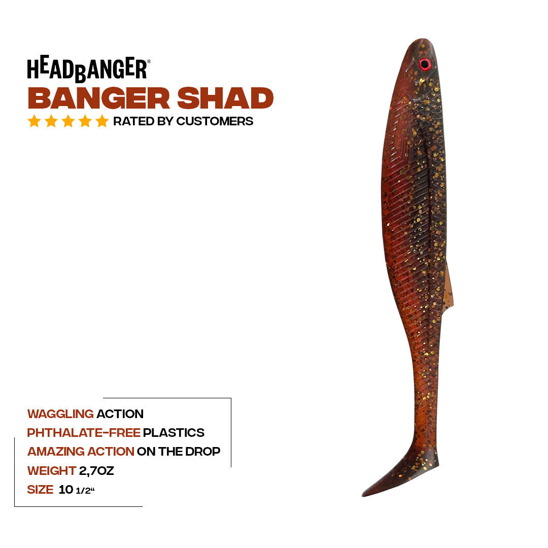 Headbanger BangerShad 10-1/2"
