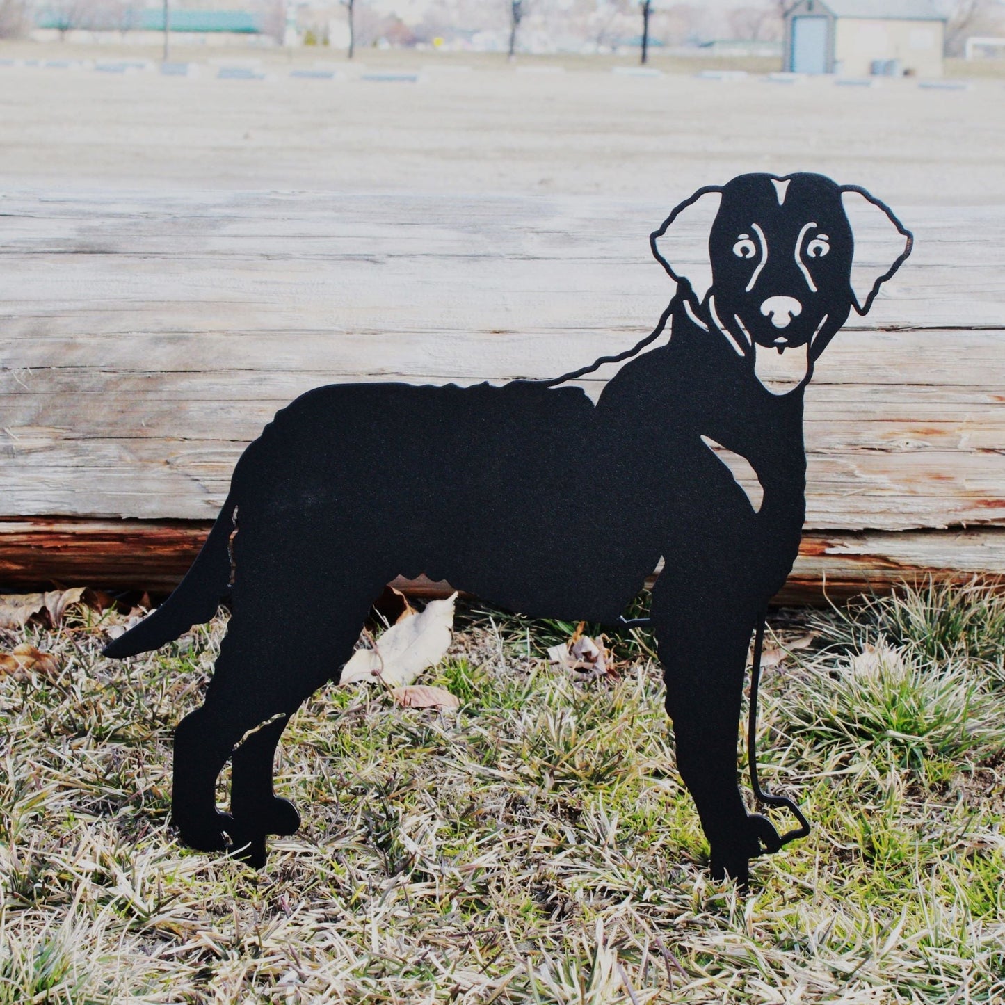 Chesapeake Bay Retriever Metal Art – Handmade Steel Dog Silhouette
