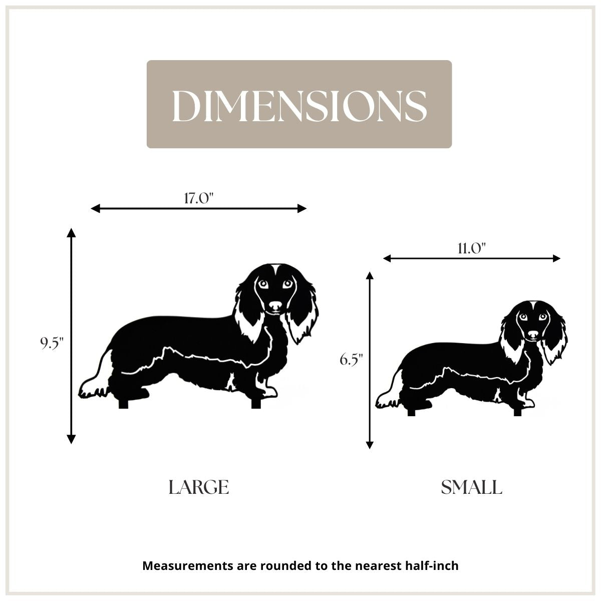 Dachshund - Longhaired