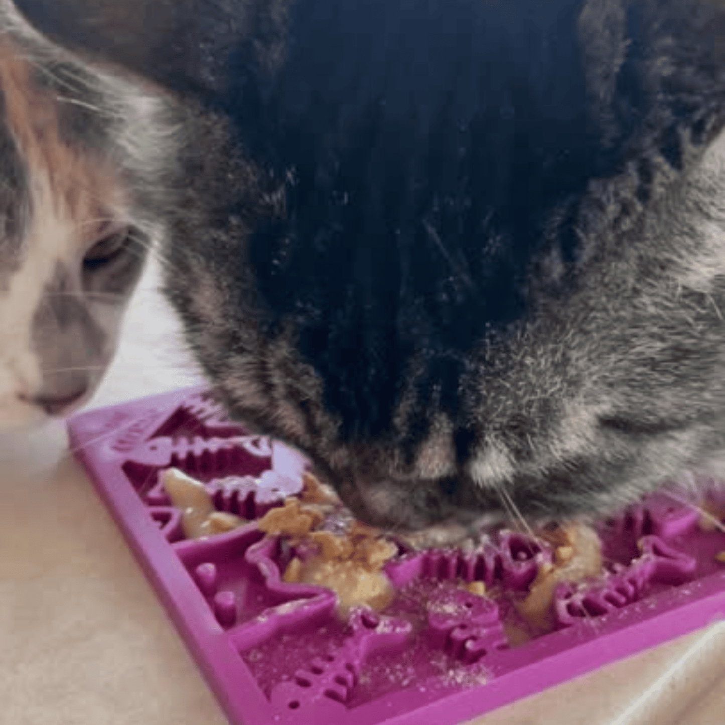 Lick Mats for Cats and Small Dogs