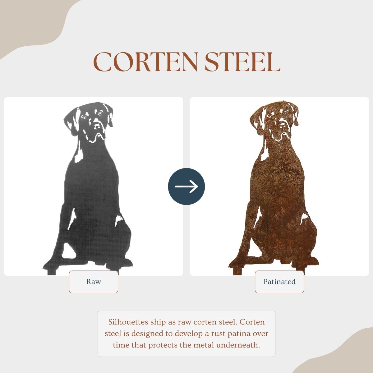 Weimaraner