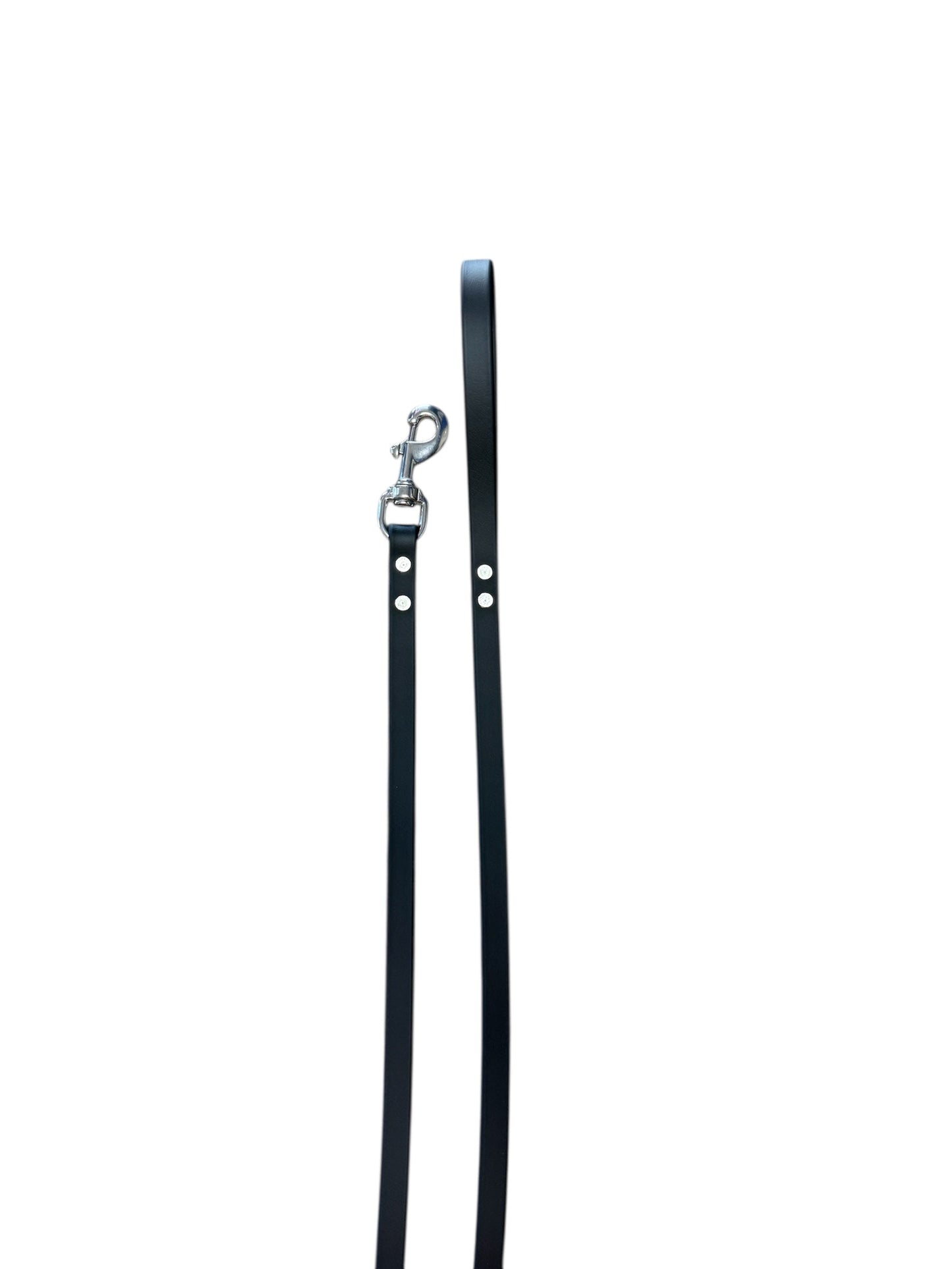 Biothane Leashes