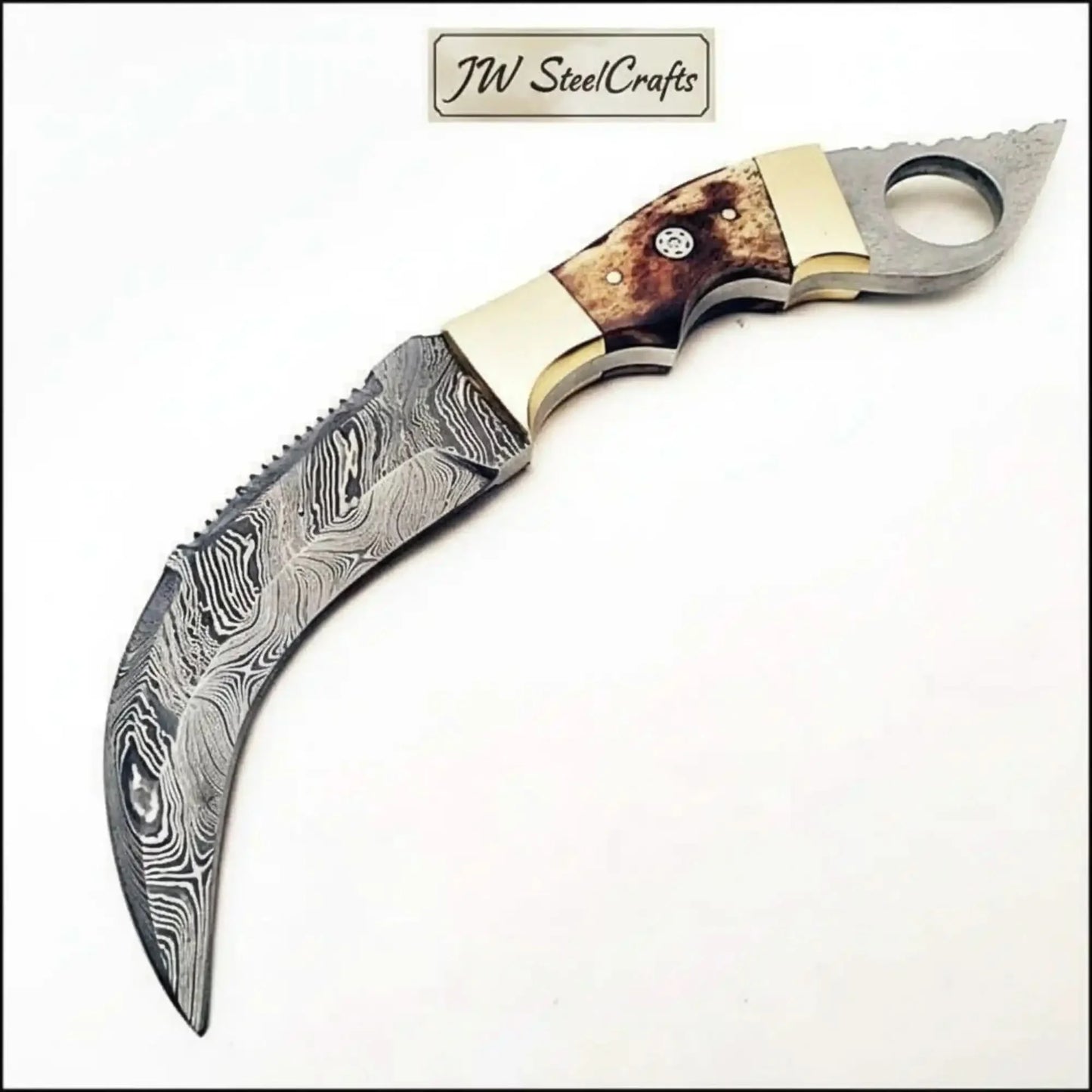 Damascus Steel Knife with Burned Bone Handle & Brass Bolster
