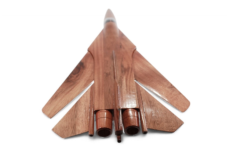 F-111 Aardvark
