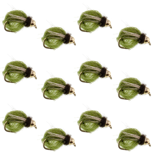 Bead Head LaFontaine Olive Deep Sparkle Caddis Pupa - 12Flies Size 16