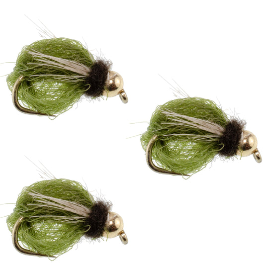 3 Pack Bead Head LaFontaine Olive Deep Sparkle Caddis Pupa - Hook Size 12