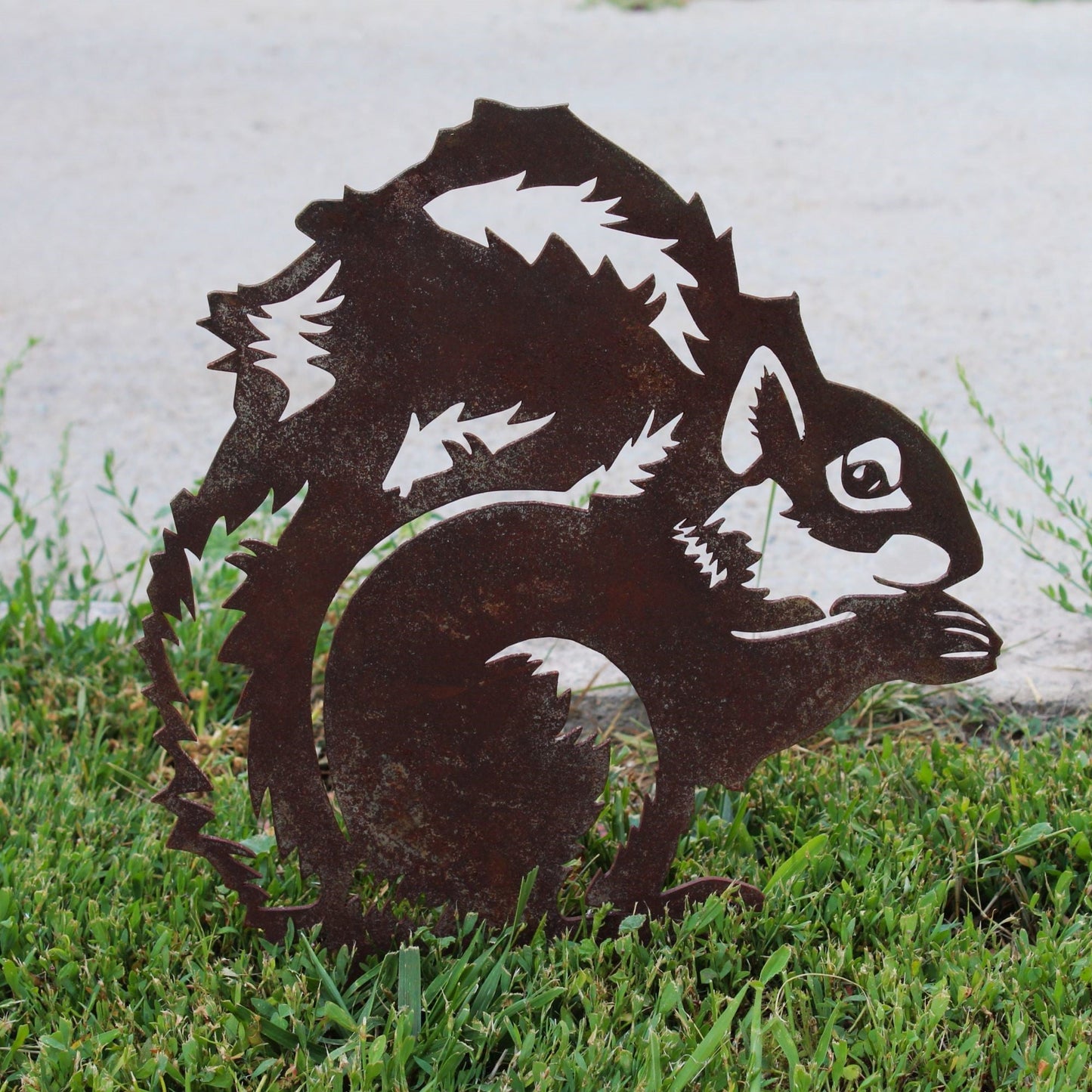 Squirrel