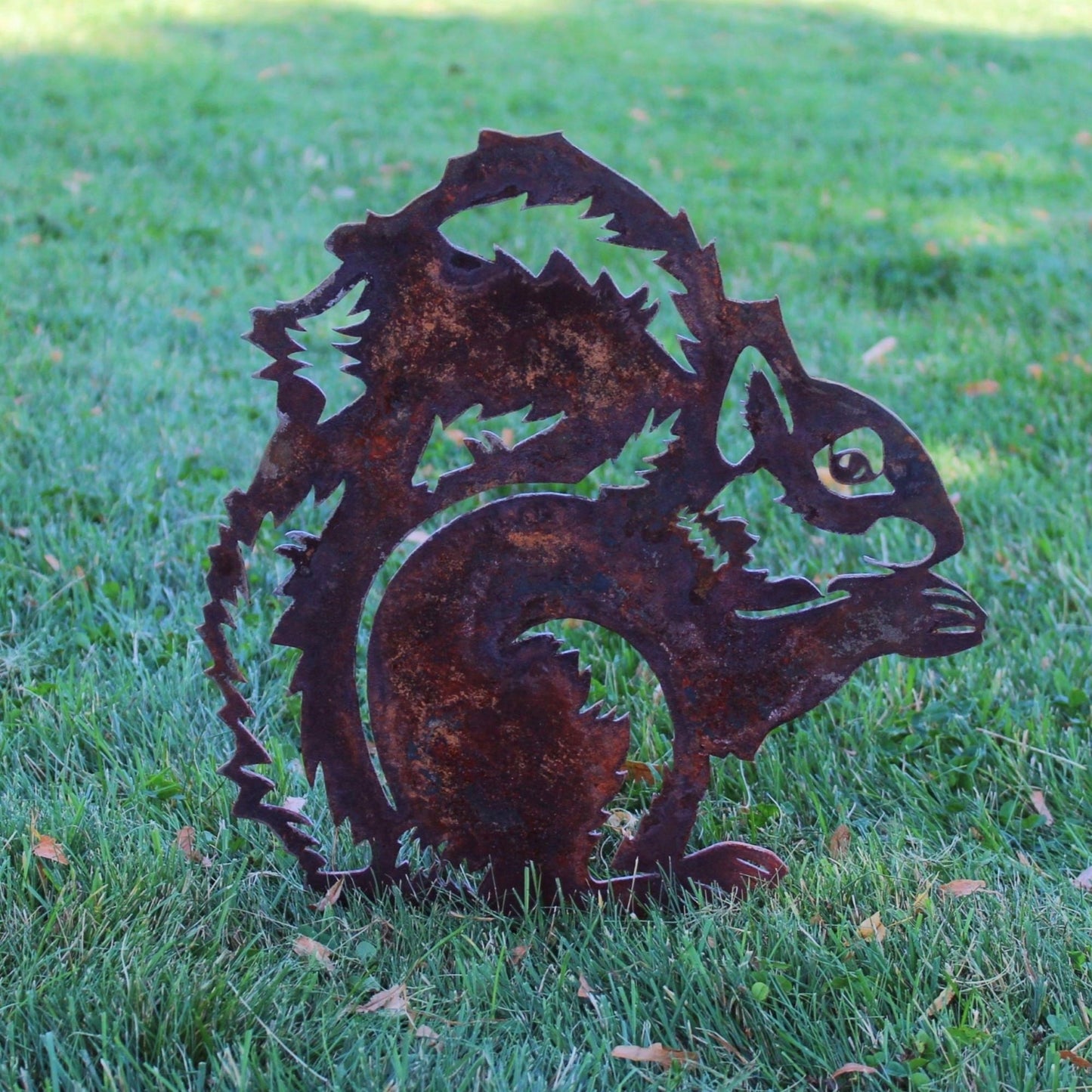 Squirrel