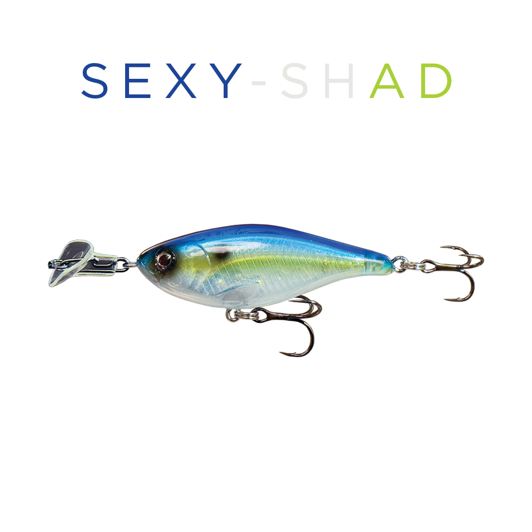 Headbanger Cranky Shad 2-1/2