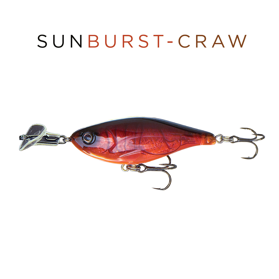 Headbanger Cranky Shad 2-1/2
