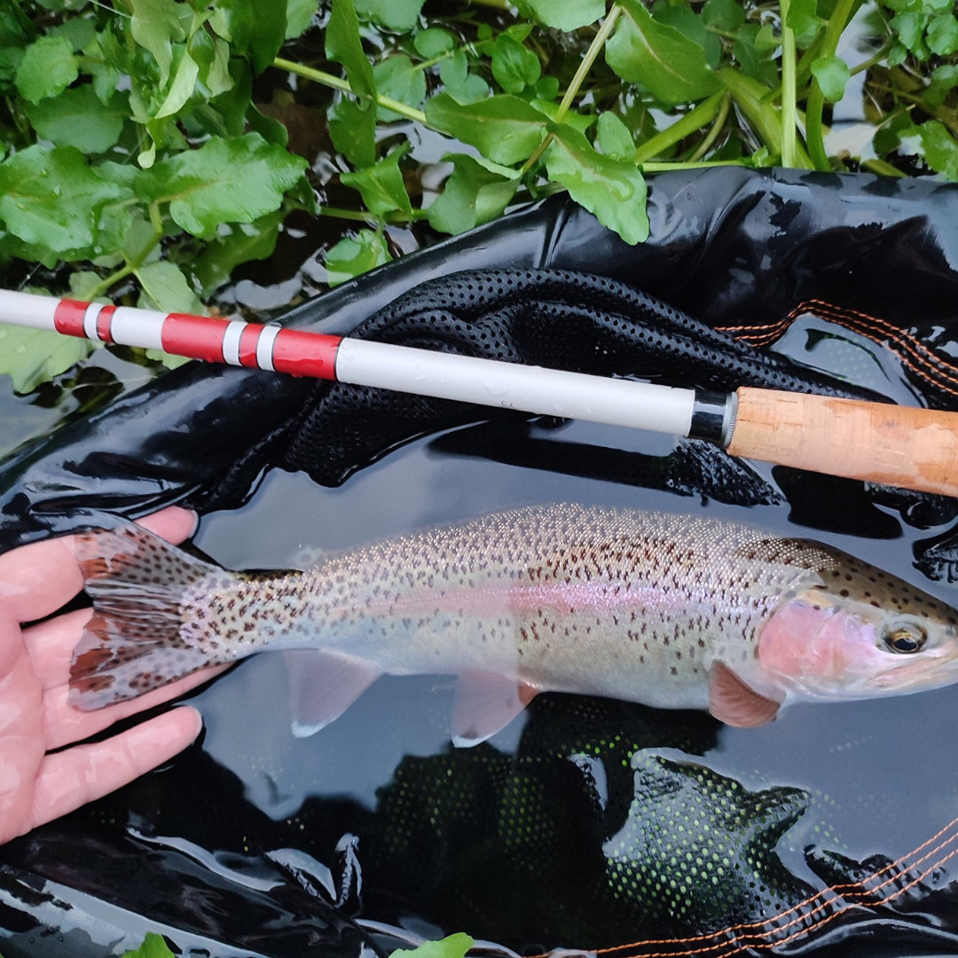 Daikyu T-Hunter