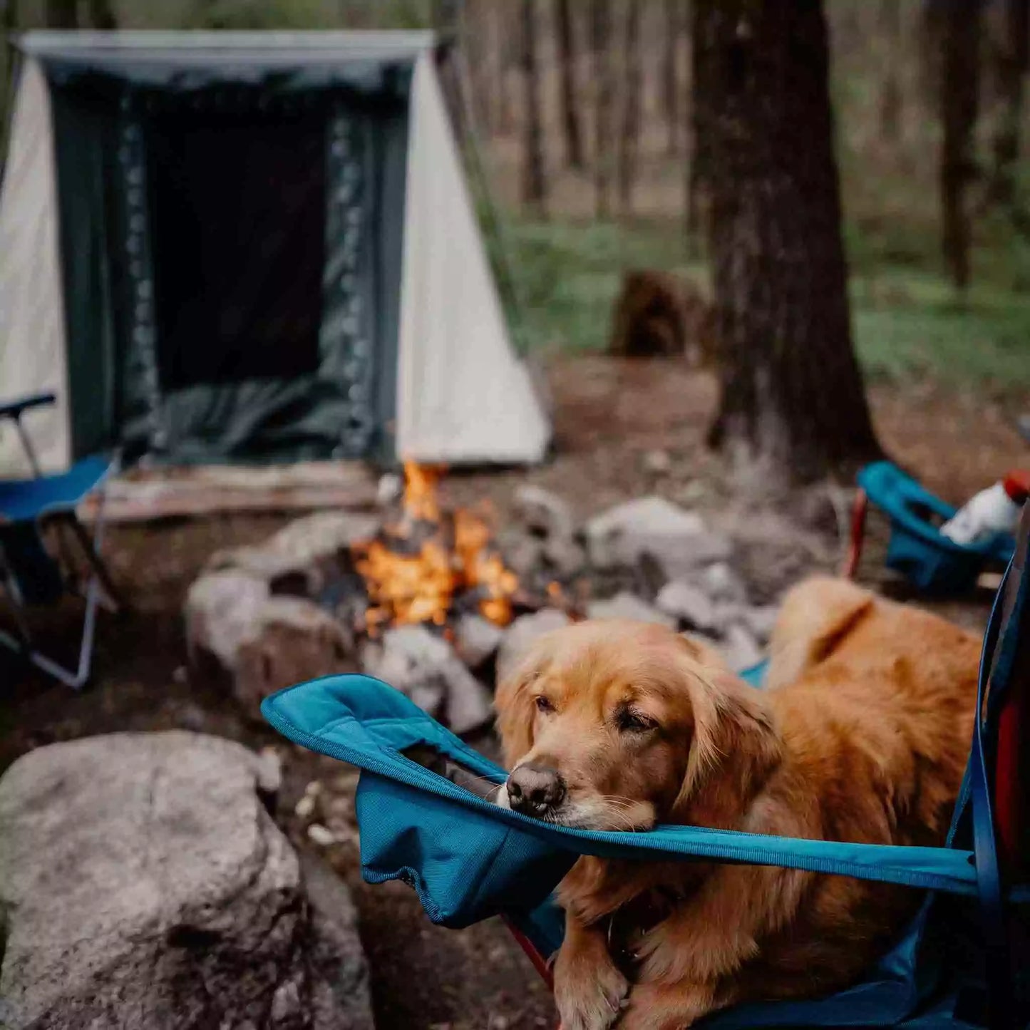 7'x9' Prota Canvas Tent