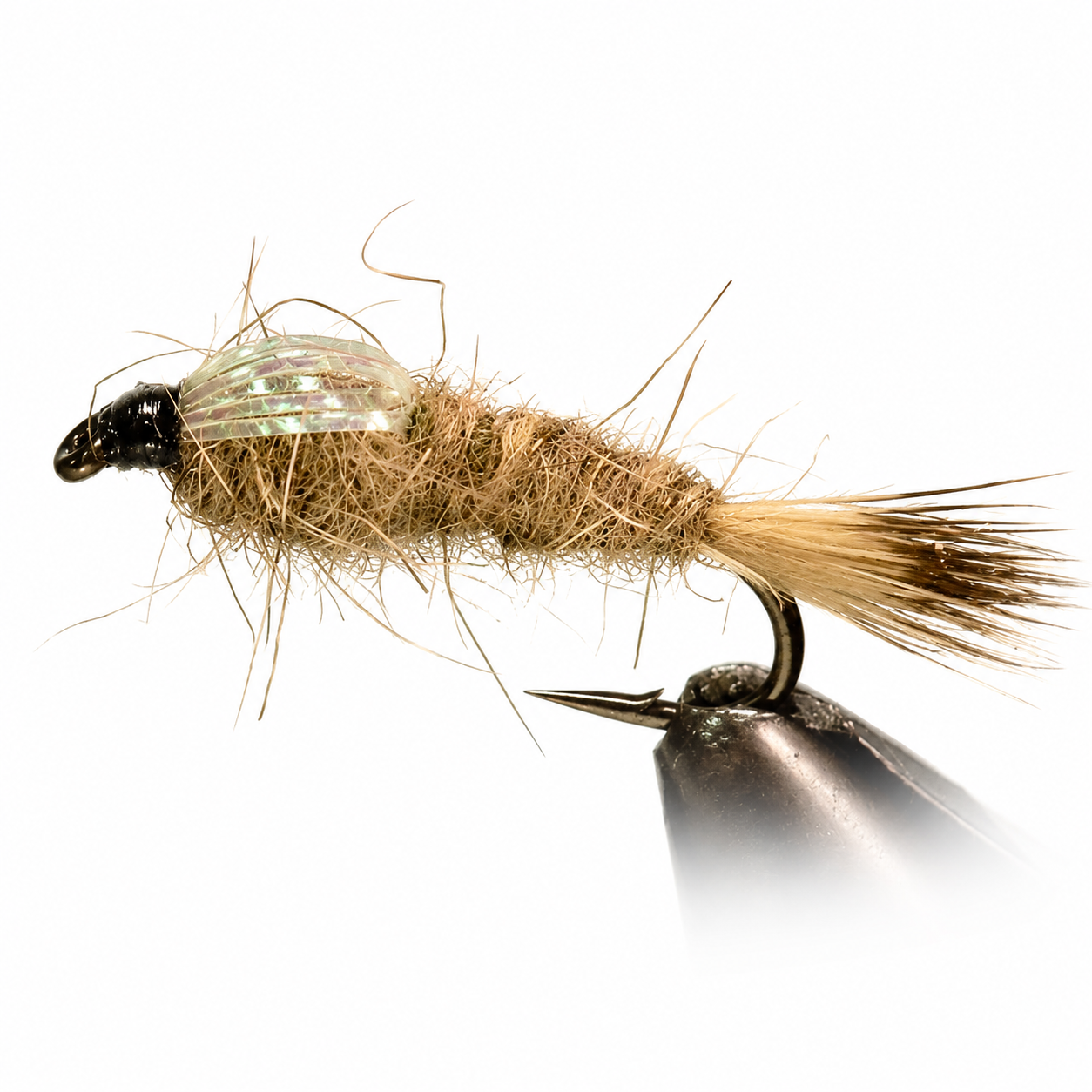 Hare's Ear - Olive