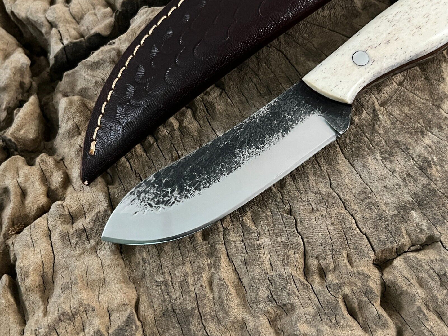 WildEdge High-Carbon Steel Bushcraft Knife – 8-Inch Survival Blade with Bone Handle